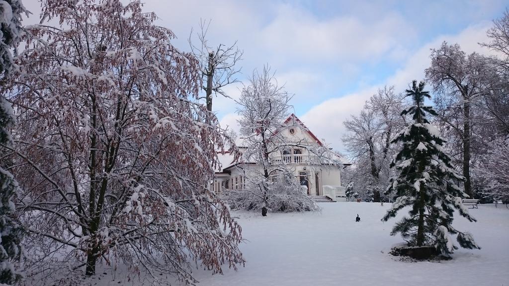 Dwor Osmolice Bed and Breakfast Bialki Dolne Exteriör bild
