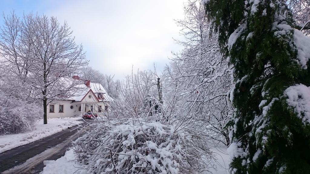 Dwor Osmolice Bed and Breakfast Bialki Dolne Exteriör bild