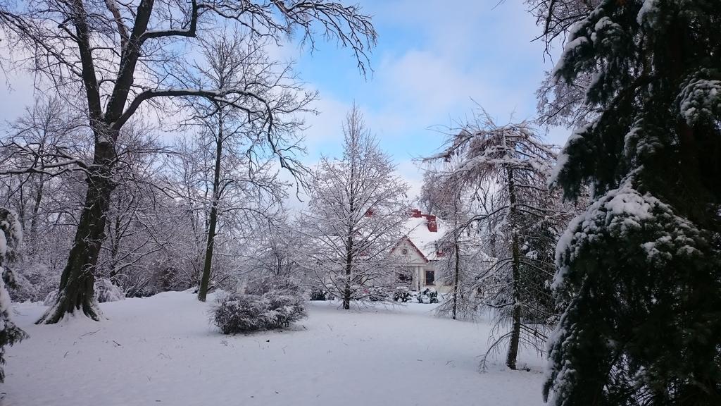 Dwor Osmolice Bed and Breakfast Bialki Dolne Exteriör bild